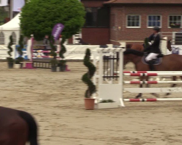 Lenklarer Reitertage Werne 2024