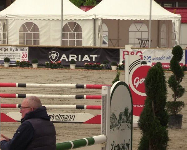 Reitturnier Werne-Lenklar 2024