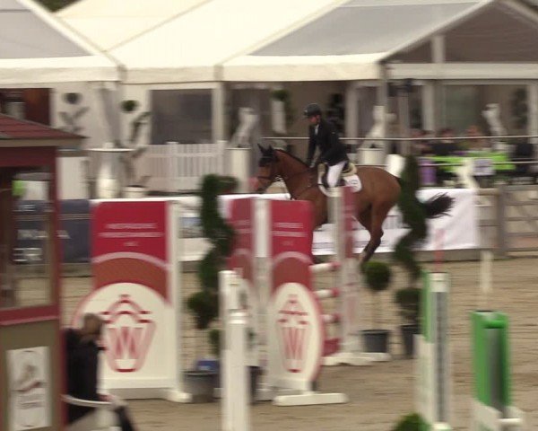 Lenklarer Reitertage Werne 2024
