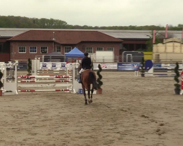 Lenklarer Reitertage Werne 2024