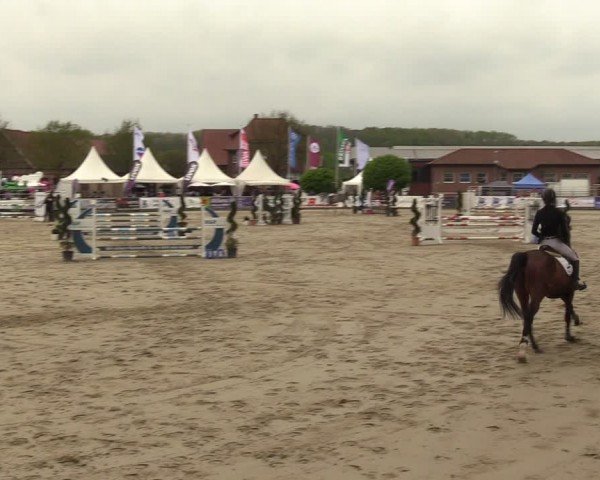 Reitturnier Werne-Lenklar 2024