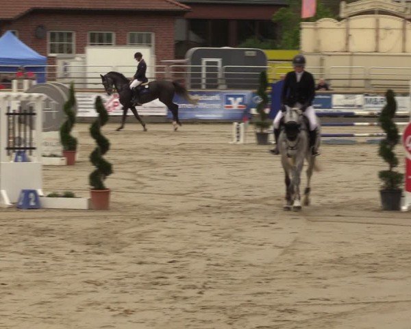 Reitturnier Werne-Lenklar 2024