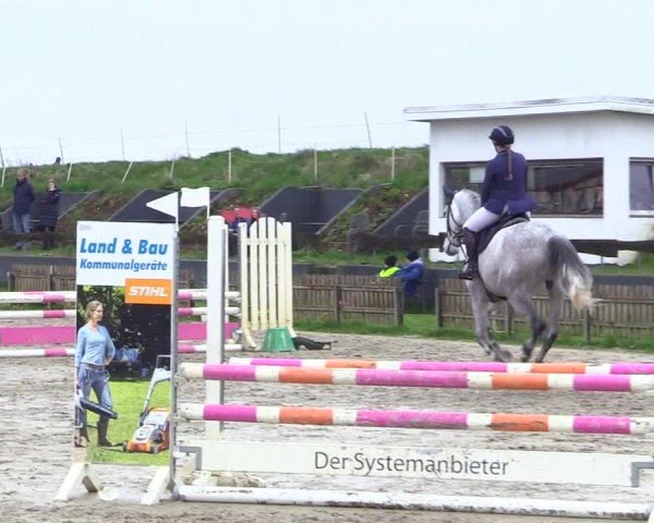 Reitturnier Breiholz "Am Moltkestein" 2024