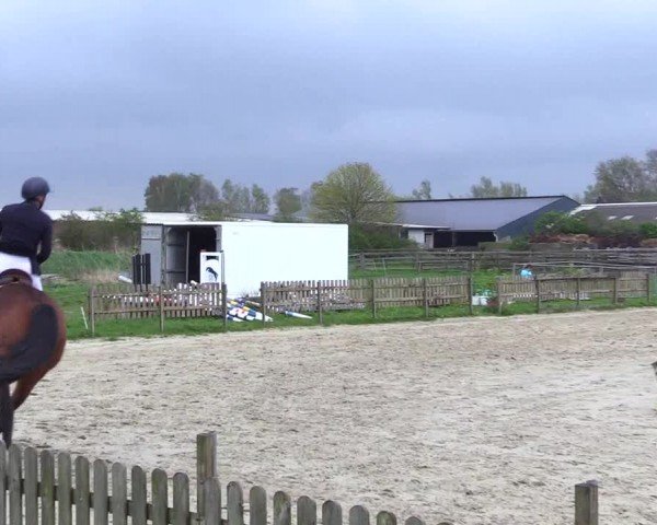 Reitturnier Breiholz "Am Moltkestein" 2024