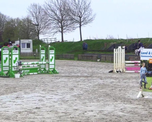 Reitturnier Breiholz "Am Moltkestein" 2024