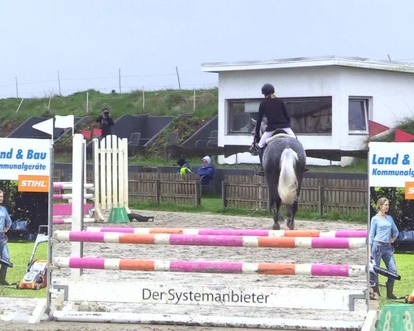 Reitturnier Breiholz "Am Moltkestein" 2024