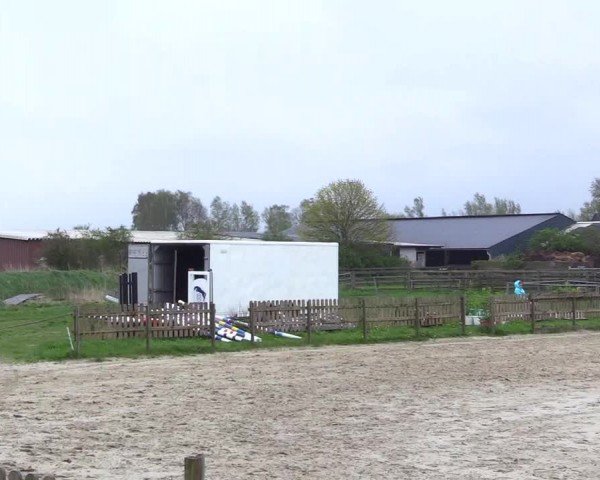 Reitturnier Breiholz "Am Moltkestein" 2024