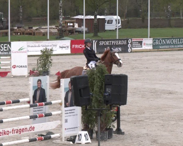 Reitturnier Westergellersen 2024