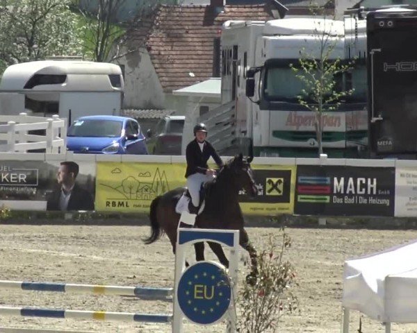 Reitturnier St. Margarethen 2024