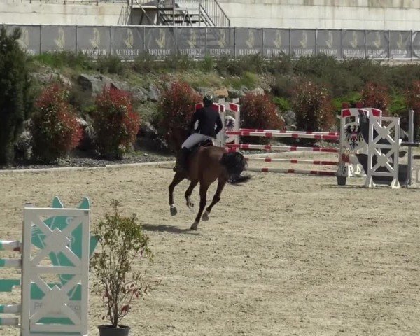 Reitturnier St. Margarethen 2024