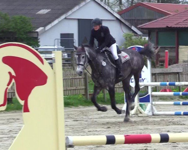 Reitturnier Breiholz "Am Moltkestein" 2024