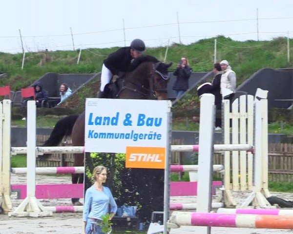 Reitturnier Breiholz "Am Moltkestein" 2024