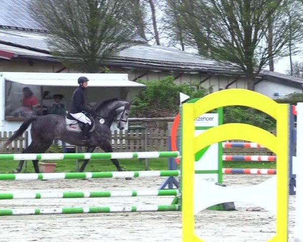 Reitturnier Breiholz "Am Moltkestein" 2024