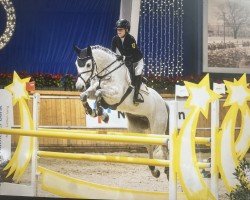 jumper Incognito (KWPN (Royal Dutch Sporthorse), 2013, from Mylord Carthago)