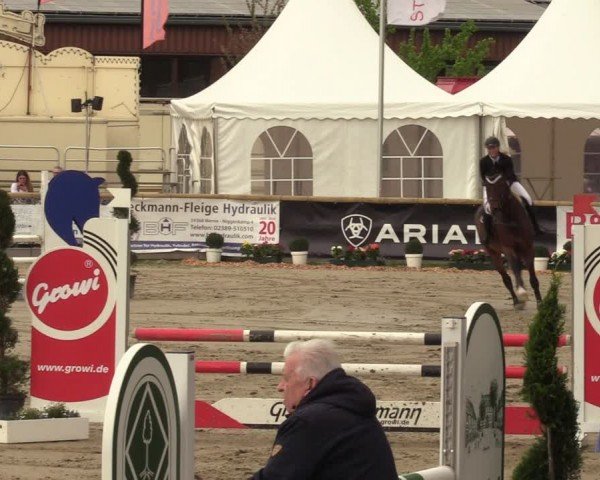 Lenklarer Reitertage Werne 2024