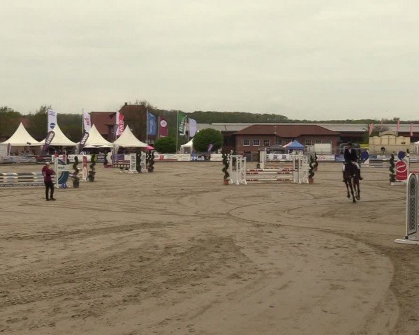 Lenklarer Reitertage Werne 2024