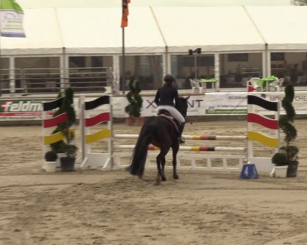 Lenklarer Reitertage Werne 2024