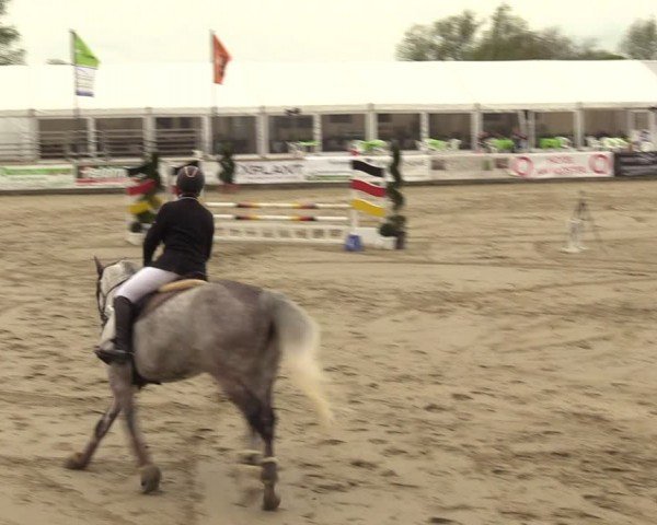 Lenklarer Reitertage Werne 2024