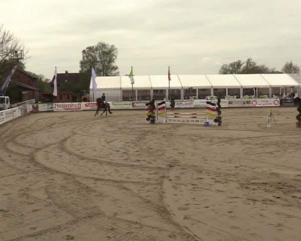 Lenklarer Reitertage Werne 2024