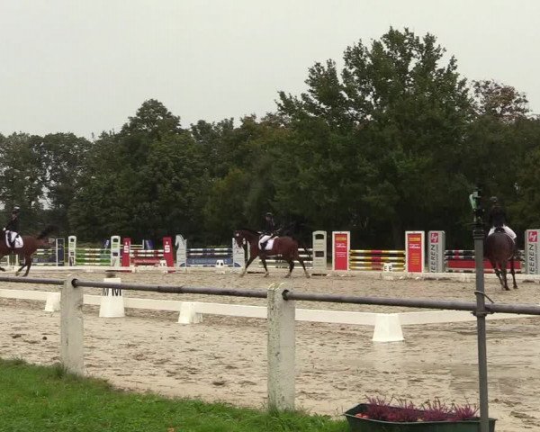 Reitturnier Lüdinghausen 2021