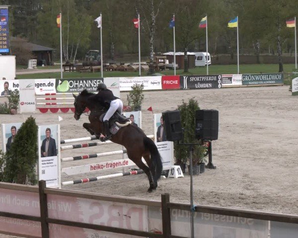 Reitturnier Westergellersen 2024