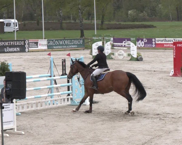 Reitturnier Westergellersen 2024