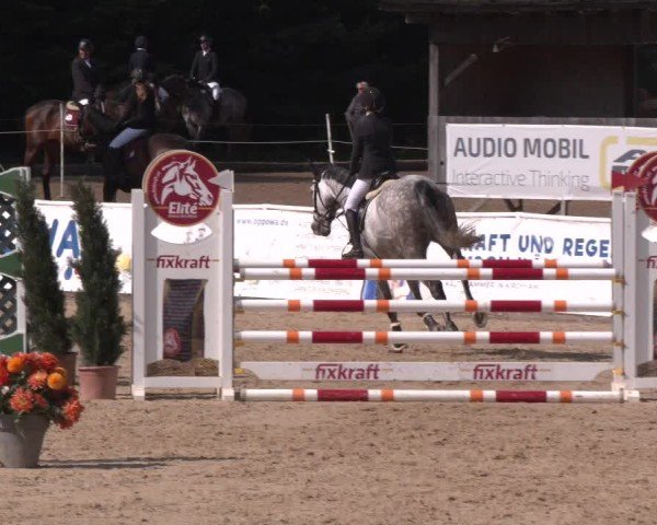 Reitturnier Ranshofen - Braunau am Inn 2024