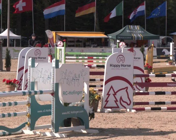 Reitturnier Ranshofen - Braunau am Inn 2024