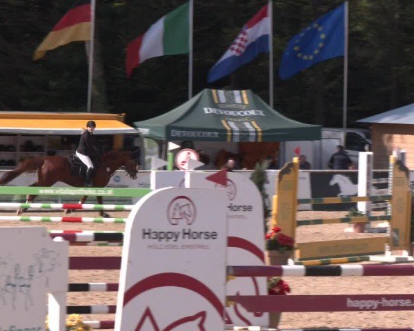 Reitturnier Ranshofen - Braunau am Inn 2024