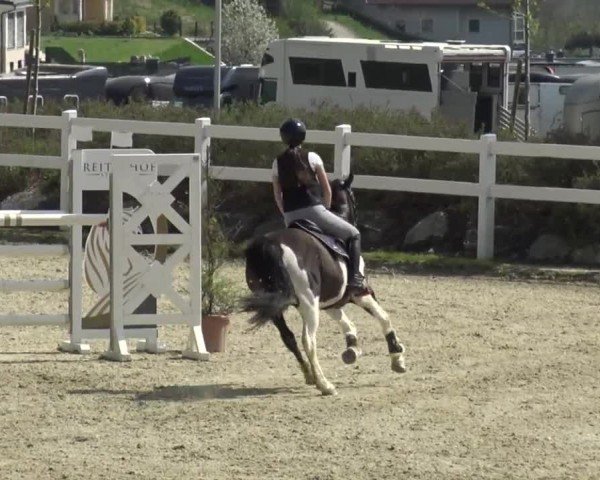 Reitturnier St. Margarethen 2024