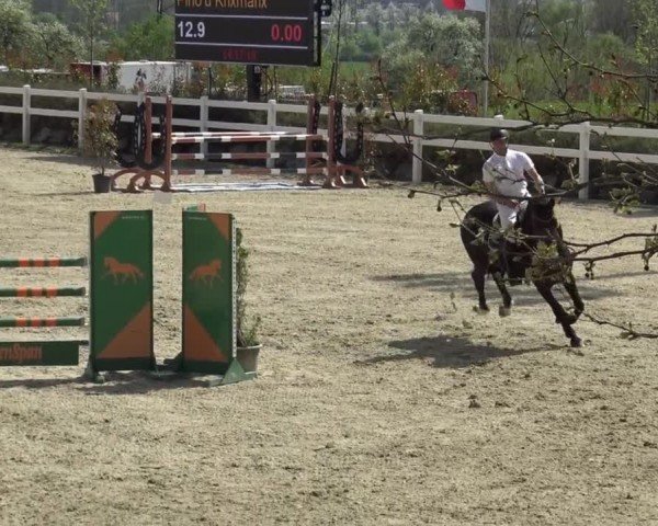 Reitturnier St. Margarethen 2024