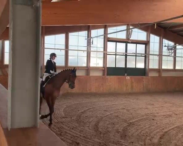 Video von Cascampino