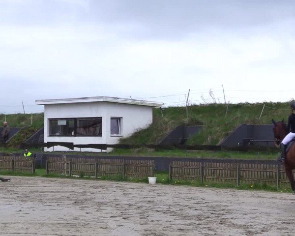 Reitturnier Breiholz "Am Moltkestein" 2024