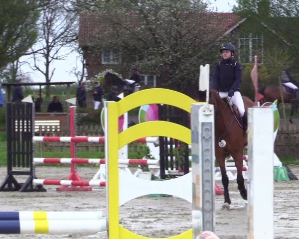 Reitturnier Breiholz "Am Moltkestein" 2024
