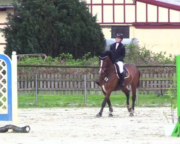 Reitturnier Breiholz "Am Moltkestein" 2024