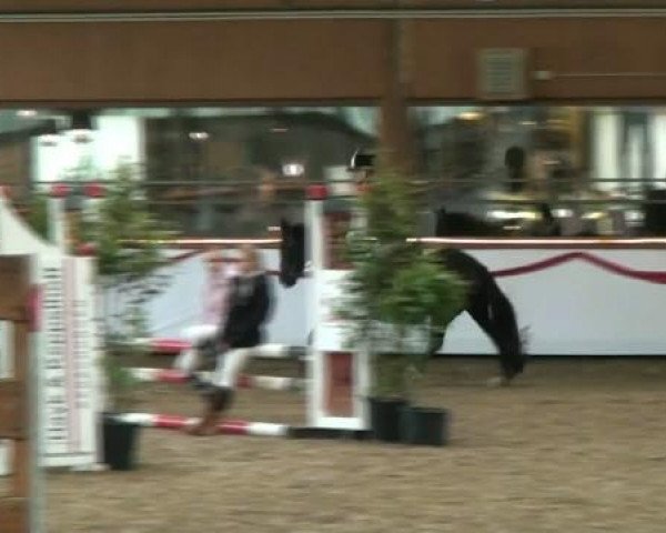 Hallenturnier beim RFV Südlohn-Oeding e.V. 2011
