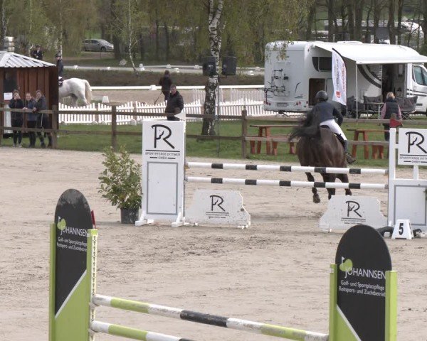 Reitturnier Westergellersen 2024