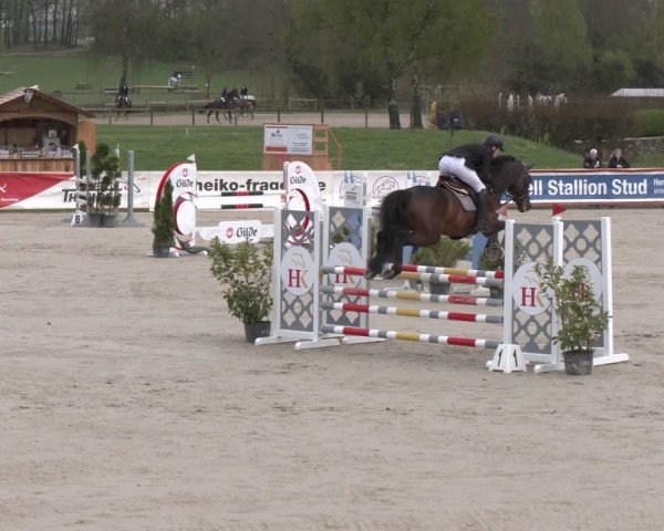 Reitturnier Westergellersen 2024
