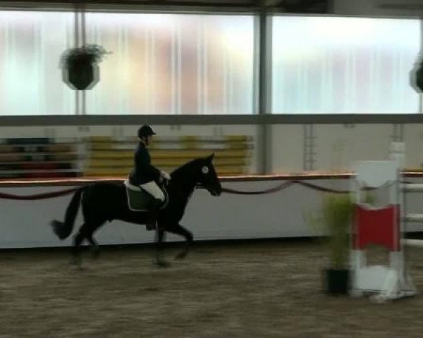 Hallenturnier beim RFV Südlohn-Oeding e.V. 2011