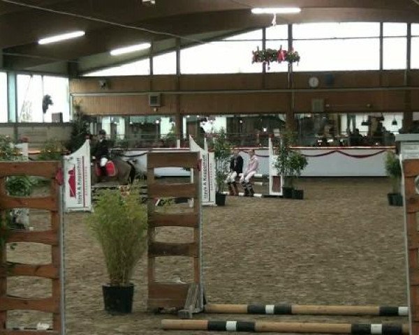 Hallenturnier beim RFV Südlohn-Oeding e.V. 2011
