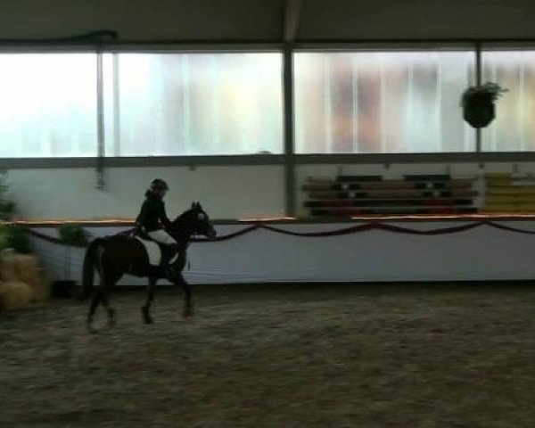 Hallenturnier beim RFV Südlohn-Oeding e.V. 2011