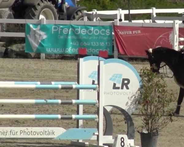 Reitturnier St. Margarethen 2024