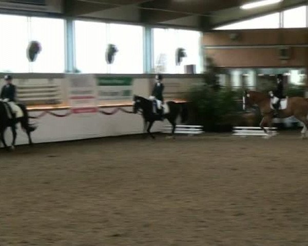 Hallenturnier beim RFV Südlohn-Oeding e.V. 2011