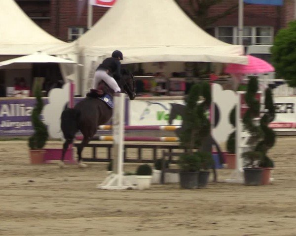 Lenklarer Reitertage Werne 2024
