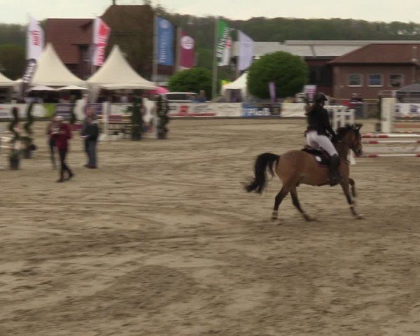 Lenklarer Reitertage Werne 2024