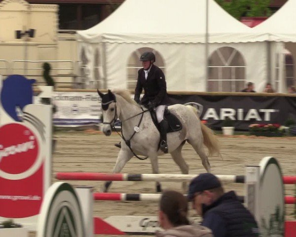 Reitturnier Werne-Lenklar 2024