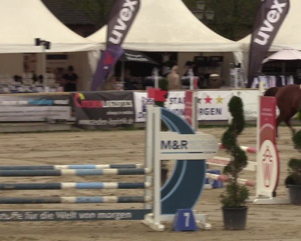 Lenklarer Reitertage Werne 2024