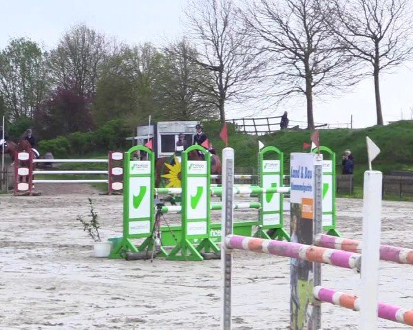 Reitturnier Breiholz "Am Moltkestein" 2024