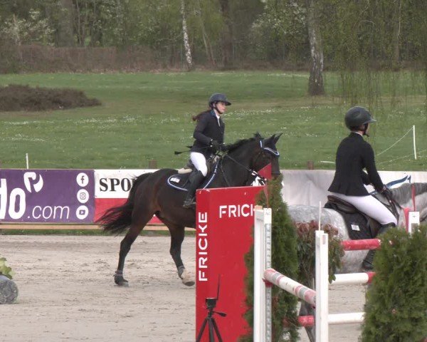 Reitturnier Westergellersen 2024