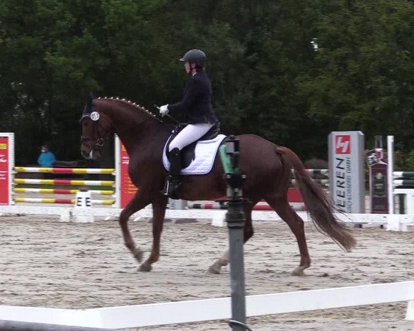 Reitturnier Lüdinghausen 2021